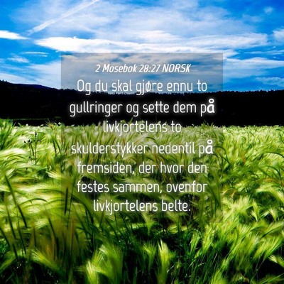 Picture 04 - 2 Mosebok 28:27 NORSK - Og du skal gjøre ennu to gullringer og sette dem - Bible Verse Picture
