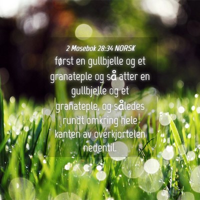 Picture 04 - 2 Mosebok 28:34 NORSK - først en gullbjelle og et granateple og så - Bible Verse Picture
