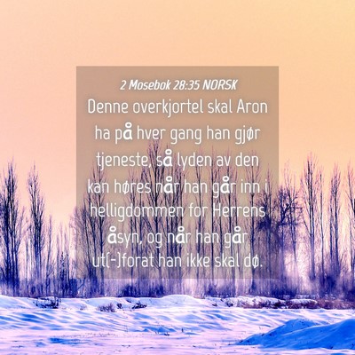 Picture 04 - 2 Mosebok 28:35 NORSK - Denne overkjortel skal Aron ha på hver gang han - Bible Verse Picture