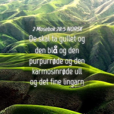 Picture 04 - 2 Mosebok 28:5 NORSK - De skal ta gullet og den blå og den purpurrøde - Bible Verse Picture
