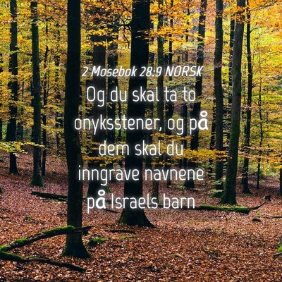 Picture 04 - 2 Mosebok 28:9 NORSK - Og du skal ta to onyksstener, og på dem skal du - Bible Verse Picture