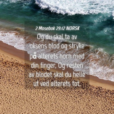 Picture 04 - 2 Mosebok 29:12 NORSK - Og du skal ta av oksens blod og stryke på - Bible Verse Picture