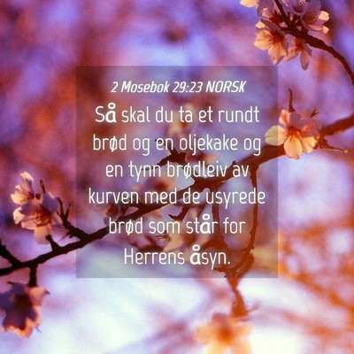 Picture 04 - 2 Mosebok 29:23 NORSK - Så skal du ta et rundt brød og en oljekake og - Bible Verse Picture