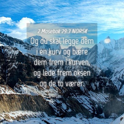Picture 04 - 2 Mosebok 29:3 NORSK - Og du skal legge dem i en kurv og bære dem frem - Bible Verse Picture