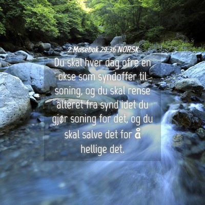 Picture 04 - 2 Mosebok 29:36 NORSK - Du skal hver dag ofre en okse som syndoffer til - Bible Verse Picture