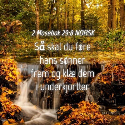 Picture 04 - 2 Mosebok 29:8 NORSK - Så skal du føre hans sønner frem og klæ dem i - Bible Verse Picture