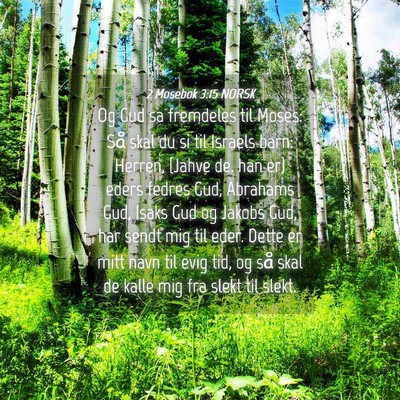 Picture 04 - 2 Mosebok 3:15 NORSK - Og Gud sa fremdeles til Moses: Så skal du si til - Bible Verse Picture