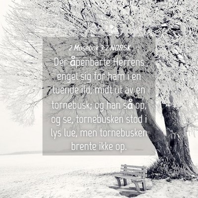Picture 04 - 2 Mosebok 3:2 NORSK - Der åpenbarte Herrens engel sig for ham i en - Bible Verse Picture