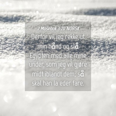 Picture 04 - 2 Mosebok 3:20 NORSK - Derfor vil jeg rekke ut min hånd og slå Egypten - Bible Verse Picture