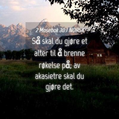 Picture 04 - 2 Mosebok 30:1 NORSK - Så skal du gjøre et alter til å brenne - Bible Verse Picture