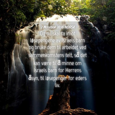 Picture 04 - 2 Mosebok 30:16 NORSK - Og du skal ta imot løsepengene av Israels barn - Bible Verse Picture