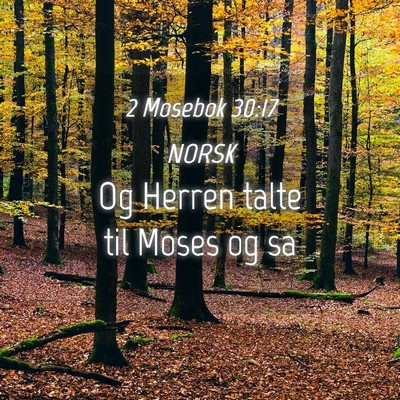 Picture 04 - 2 Mosebok 30:17 NORSK - Og Herren talte til Moses og - Bible Verse Picture