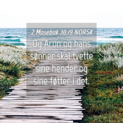 Picture 04 - 2 Mosebok 30:19 NORSK - Og Aron og hans sønner skal tvette sine hender - Bible Verse Picture