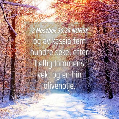 Picture 04 - 2 Mosebok 30:24 NORSK - og av kassia fem hundre sekel efter helligdommens - Bible Verse Picture