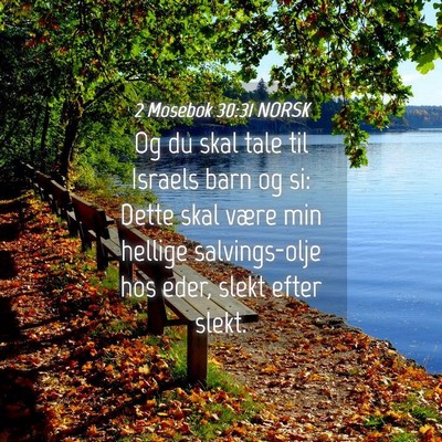 Picture 04 - 2 Mosebok 30:31 NORSK - Og du skal tale til Israels barn og si: Dette - Bible Verse Picture