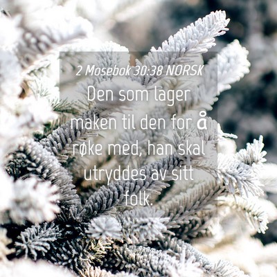 Picture 04 - 2 Mosebok 30:38 NORSK - Den som lager maken til den for å røke med, han - Bible Verse Picture