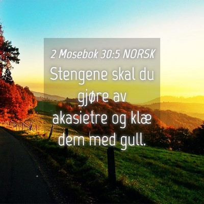 Picture 04 - 2 Mosebok 30:5 NORSK - Stengene skal du gjøre av akasietre og klæ dem - Bible Verse Picture