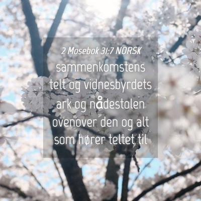 Picture 04 - 2 Mosebok 31:7 NORSK - sammenkomstens telt og vidnesbyrdets ark og - Bible Verse Picture
