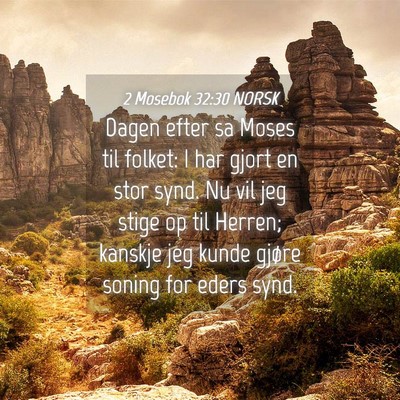 Picture 04 - 2 Mosebok 32:30 NORSK - Dagen efter sa Moses til folket: I har gjort en - Bible Verse Picture