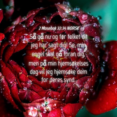 Picture 04 - 2 Mosebok 32:34 NORSK - Så gå nu og før folket dit jeg har sagt dig! - Bible Verse Picture