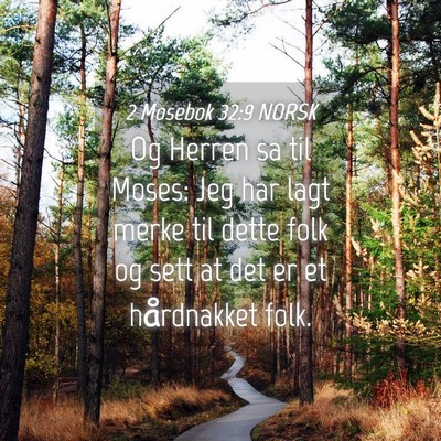 Picture 04 - 2 Mosebok 32:9 NORSK - Og Herren sa til Moses: Jeg har lagt merke til - Bible Verse Picture