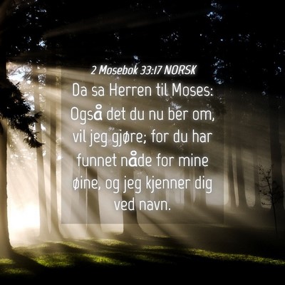 Picture 04 - 2 Mosebok 33:17 NORSK - Da sa Herren til Moses: Også det du nu ber om, - Bible Verse Picture