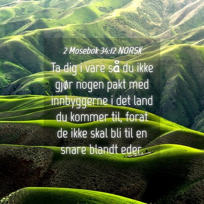 Picture 04 - 2 Mosebok 34:12 NORSK - Ta dig i vare så du ikke gjør nogen pakt med - Bible Verse Picture