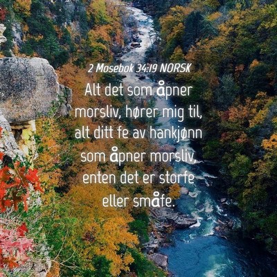 Picture 04 - 2 Mosebok 34:19 NORSK - Alt det som åpner morsliv, hører mig til, alt - Bible Verse Picture