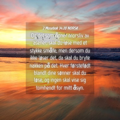 Picture 04 - 2 Mosebok 34:20 NORSK - Og det som åpner morsliv av asener, skal du - Bible Verse Picture