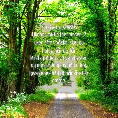 Picture 04 - 2 Mosebok 34:22 NORSK - Ukenes høitid {de. pinsen, 7 uker efter påske} - Bible Verse Picture