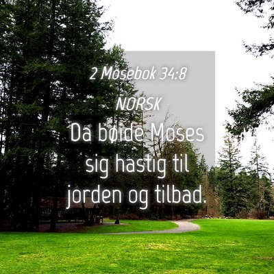 Picture 04 - 2 Mosebok 34:8 NORSK - Da bøide Moses sig hastig til jorden og - Bible Verse Picture
