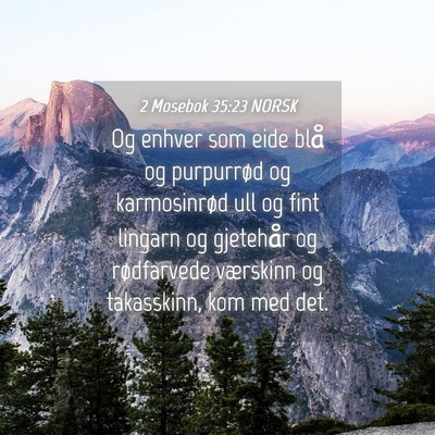 Picture 04 - 2 Mosebok 35:23 NORSK - Og enhver som eide blå og purpurrød og - Bible Verse Picture