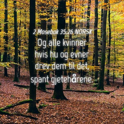 Picture 04 - 2 Mosebok 35:26 NORSK - Og alle kvinner hvis hu og evner drev dem til - Bible Verse Picture