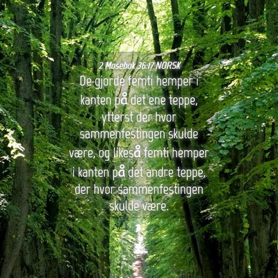 Picture 04 - 2 Mosebok 36:17 NORSK - De gjorde femti hemper i kanten på det ene - Bible Verse Picture