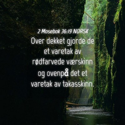 Picture 04 - 2 Mosebok 36:19 NORSK - Over dekket gjorde de et varetak av rødfarvede - Bible Verse Picture