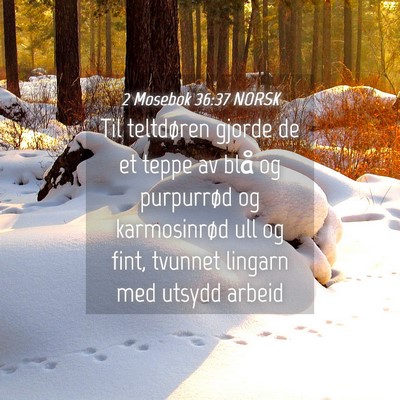 Picture 04 - 2 Mosebok 36:37 NORSK - Til teltdøren gjorde de et teppe av blå og - Bible Verse Picture