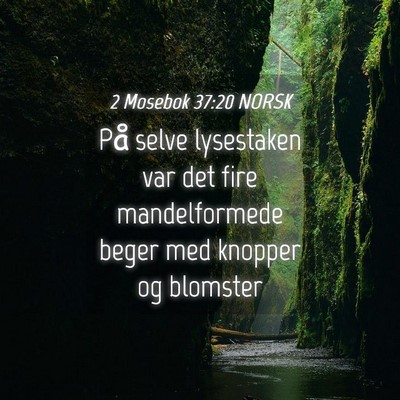 Picture 04 - 2 Mosebok 37:20 NORSK - På selve lysestaken var det fire mandelformede - Bible Verse Picture