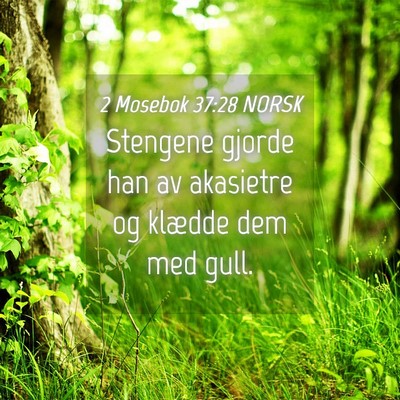 Picture 04 - 2 Mosebok 37:28 NORSK - Stengene gjorde han av akasietre og klædde dem - Bible Verse Picture