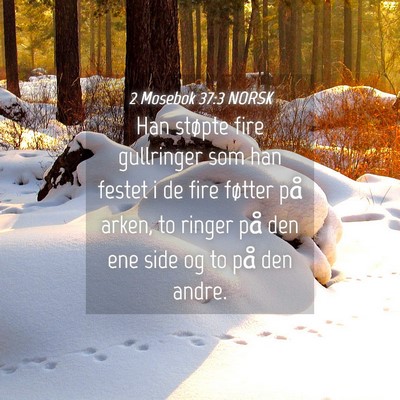 Picture 04 - 2 Mosebok 37:3 NORSK - Han støpte fire gullringer som han festet i de - Bible Verse Picture