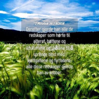 Picture 04 - 2 Mosebok 38:3 NORSK - Derefter gjorde han alle de redskaper som hørte - Bible Verse Picture