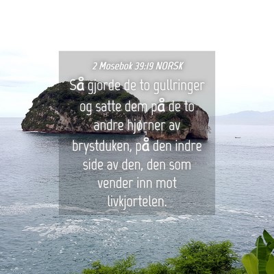 Picture 04 - 2 Mosebok 39:19 NORSK - Så gjorde de to gullringer og satte dem på de - Bible Verse Picture