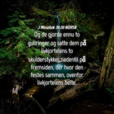 Picture 04 - 2 Mosebok 39:20 NORSK - Og de gjorde ennu to gullringer og satte dem på - Bible Verse Picture