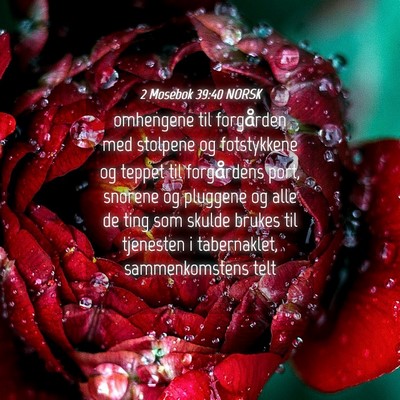 Picture 04 - 2 Mosebok 39:40 NORSK - omhengene til forgården med stolpene og - Bible Verse Picture