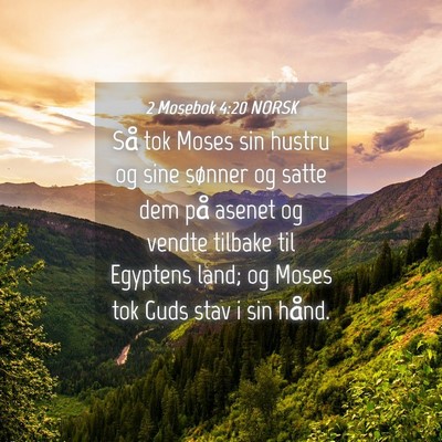 Picture 04 - 2 Mosebok 4:20 NORSK - Så tok Moses sin hustru og sine sønner og satte - Bible Verse Picture