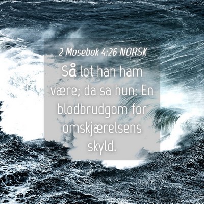 Picture 04 - 2 Mosebok 4:26 NORSK - Så lot han ham være; da sa hun: En blodbrudgom - Bible Verse Picture