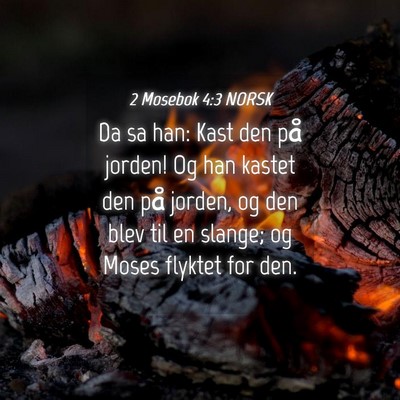 Picture 04 - 2 Mosebok 4:3 NORSK - Da sa han: Kast den på jorden! Og han kastet den - Bible Verse Picture