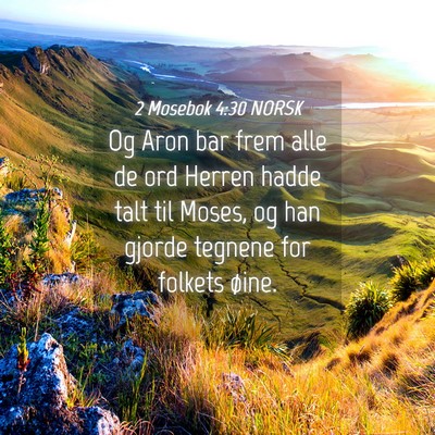 Picture 04 - 2 Mosebok 4:30 NORSK - Og Aron bar frem alle de ord Herren hadde talt - Bible Verse Picture