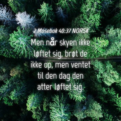Picture 04 - 2 Mosebok 40:37 NORSK - Men når skyen ikke løftet sig, brøt de ikke - Bible Verse Picture