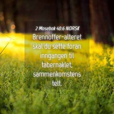 Picture 04 - 2 Mosebok 40:6 NORSK - Brennoffer-alteret skal du sette foran inngangen - Bible Verse Picture