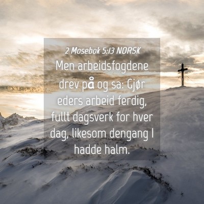 Picture 04 - 2 Mosebok 5:13 NORSK - Men arbeidsfogdene drev på og sa: Gjør eders - Bible Verse Picture